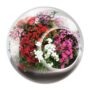 Tiny Terrarium – Perfect Pinks